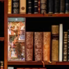Shakespeare's classics A Midsummer Night Book Nook Kit