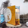 Journey to the West /Flaming Mountain/ WuKong Book Nook Kit