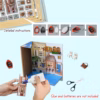 The Ancient City of Bruges DIY Book Nook Kit