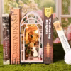 Peacock Garden DIY Book Nook Kit