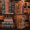 Abbey Library DIY Book Nook Kit
