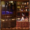 Chamber of Exotic Beasts DIY Book Nook Kit
